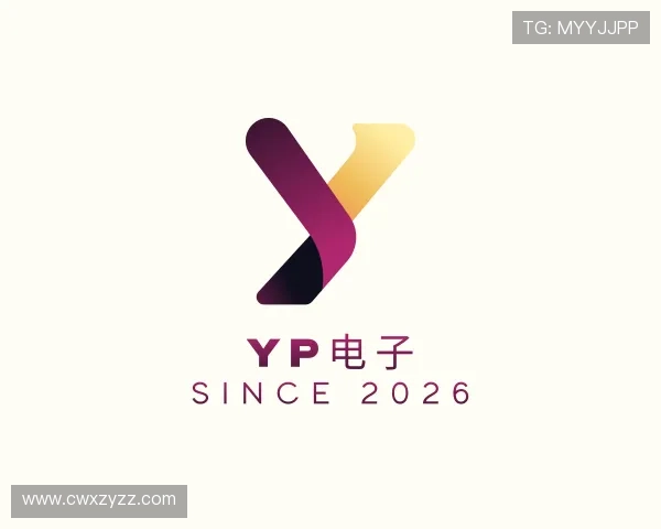 解读YP电子