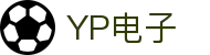 YP电子集团股份有限公司